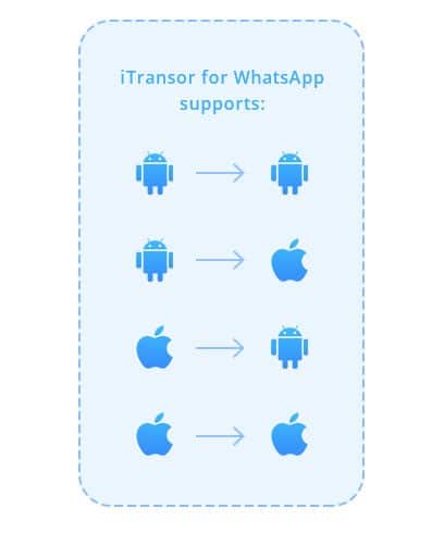  iMyFone iTransor for WhatsApp